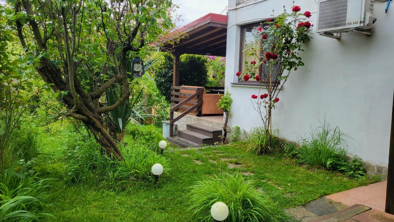Guest House Fanny Sinemoreț Exterior foto