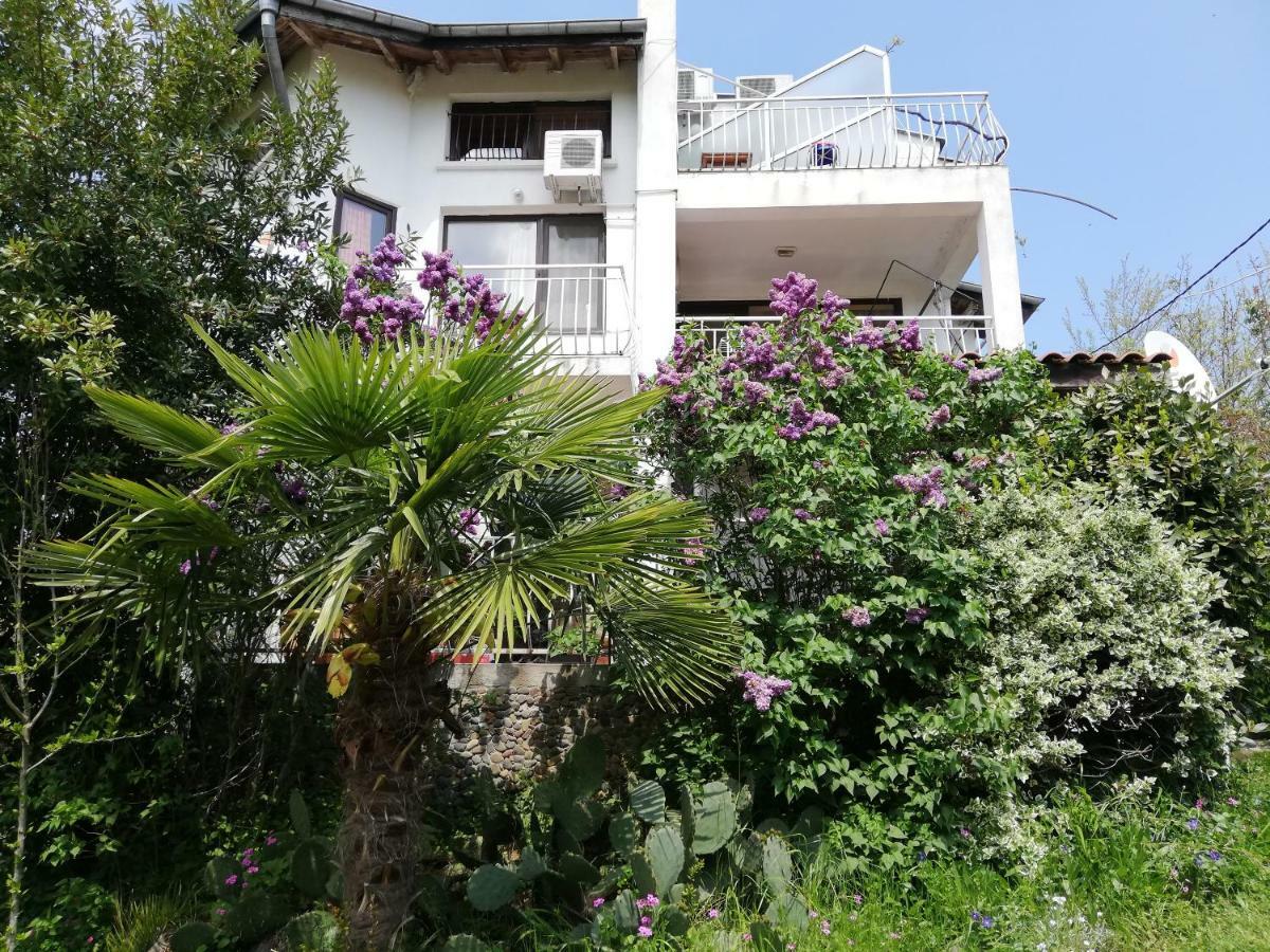 Guest House Fanny Sinemoreț Exterior foto