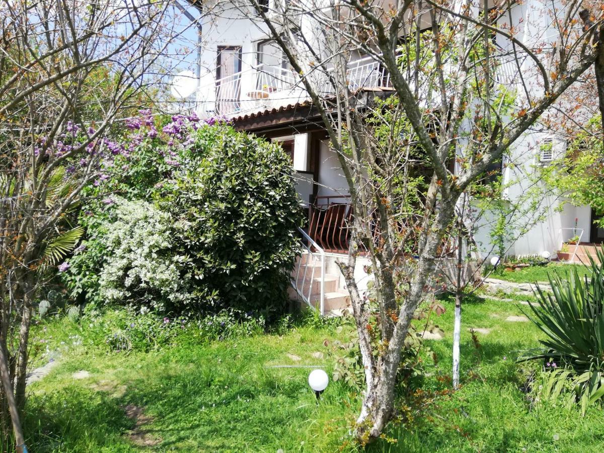 Guest House Fanny Sinemoreț Exterior foto