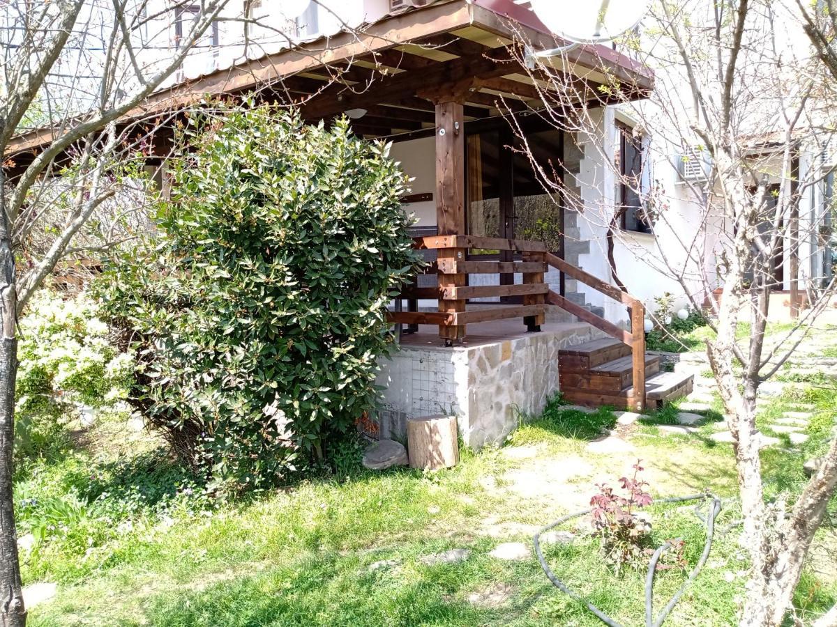 Guest House Fanny Sinemoreț Exterior foto